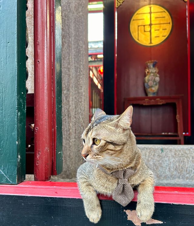 三天兩夜帶你玩轉潮汕！清明出行必備