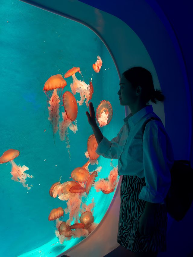 雲上海洋館｜週末遛娃好去處