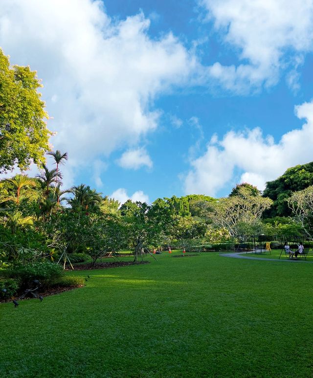 前往新加坡植物園——欣賞坡國國花•蘭花