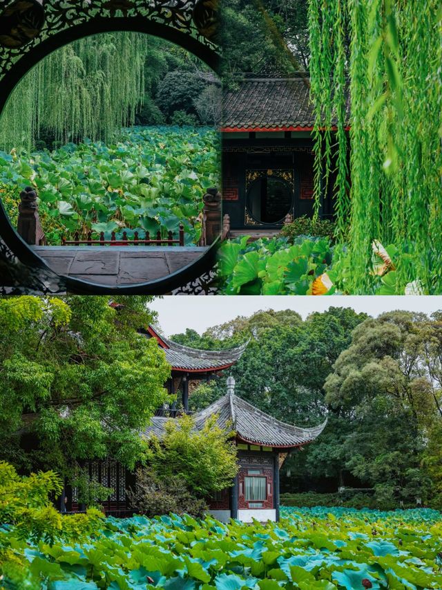 在成都!!!唯一我想去拍無數次的公園!