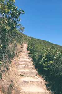 渣甸山及畢拿山・大潭水塘、紅屋半日遊