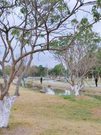 閩侯沙堤市民公園，人少景美超適合野餐露營放空自己