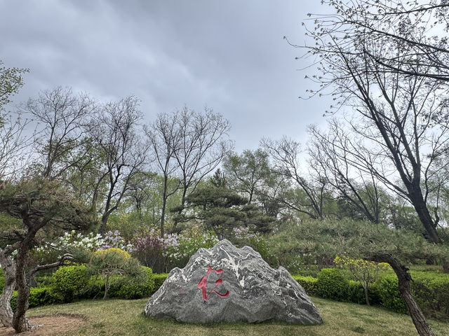 春雨後的迎澤公園