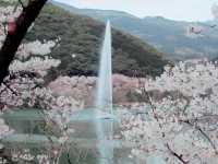 A Blooming Fairy Tale