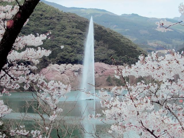 A Blooming Fairy Tale