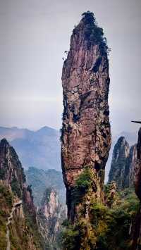 煙霧繚繞，雲裡霧裡美極了莽山