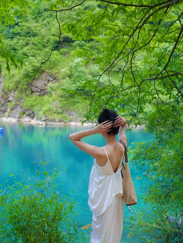 A Real Record of the Trip to Hangzhou's Natural Forest Oxygen Bar, Little Jiuzhaigou