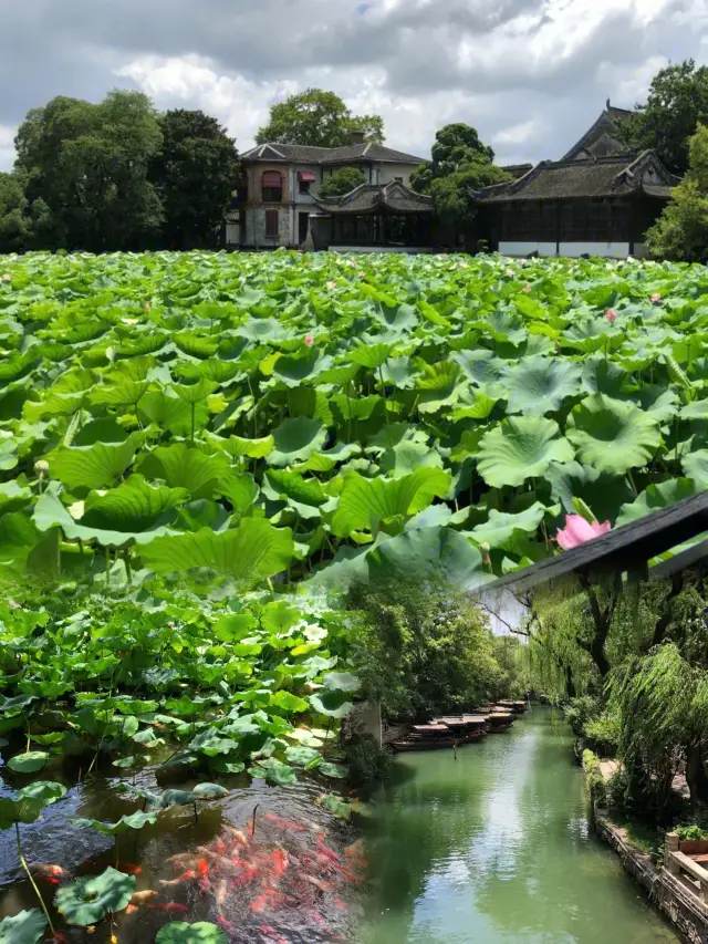 南浔古鎮、旅行の必須スポット