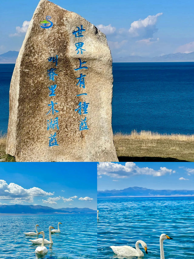 一半草原一半湖海🩵有一種藍叫「賽里木藍」