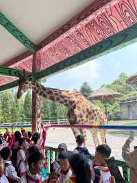 五一好去處！！貴州森林野生動物園