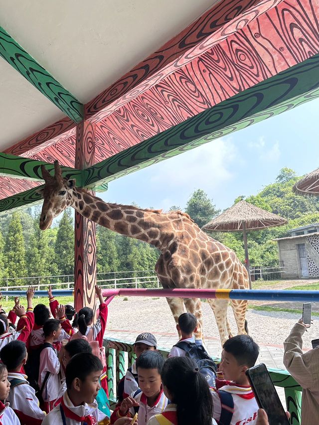 五一好去處！！貴州森林野生動物園