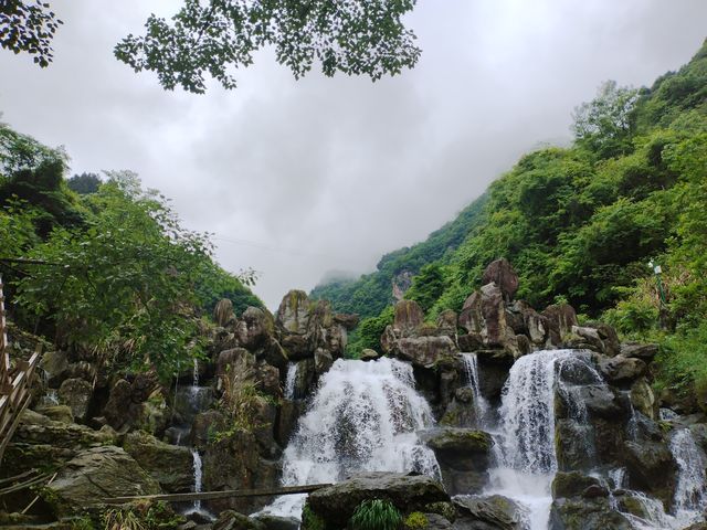 平利芍藥谷休閒消夏好去處