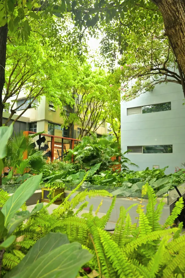 Nanhai Yiku | A Great Weekend Leisure Destination in Shenzhen