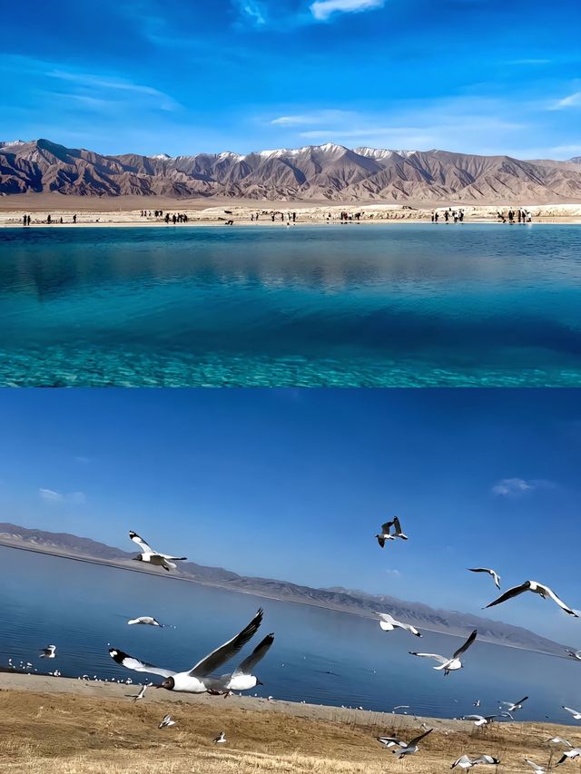 青海湖，地球最後一滴眼淚~