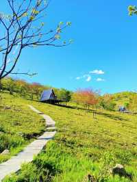吉林這個小眾神仙寶地，好像在新疆伊犁