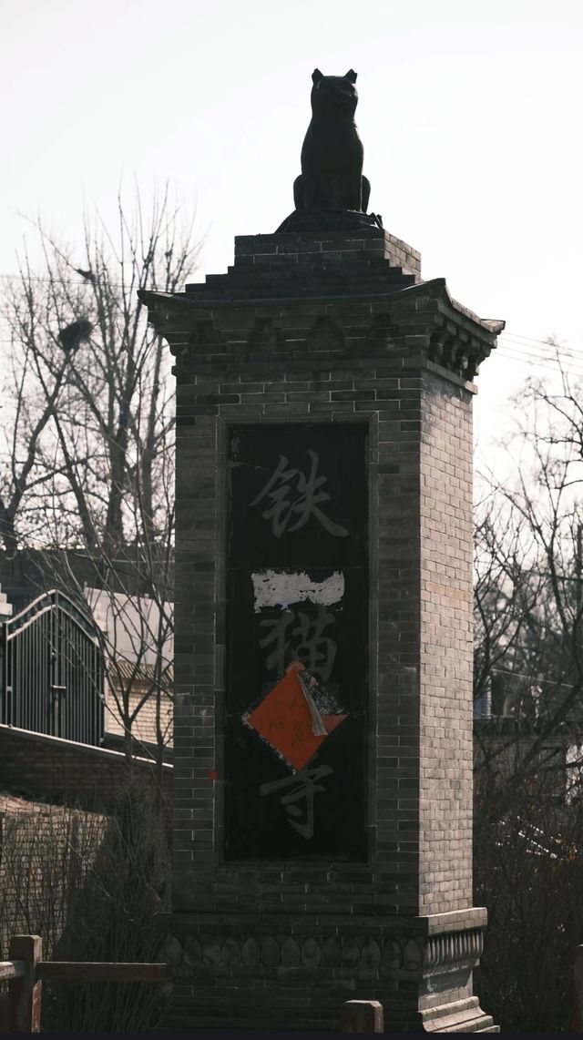 山西訪古|為了一隻貓建了一座廟，值得一喵