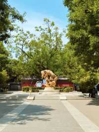 北京｜牛街旁的神仙小眾寺廟遊玩攻略