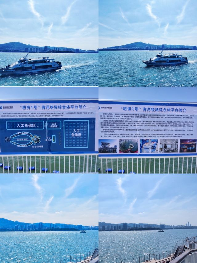 研學旅行——山海海洋之星