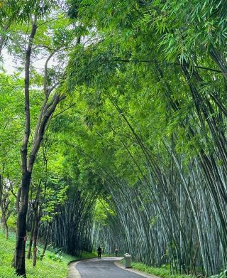 廣州徒步好去處，1地鐵直達2個小眾連體公園