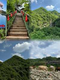 洛陽欒川·王府竹海｜天然氧吧｜放鬆心情