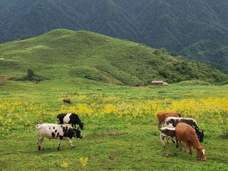 Sichuan Ebian Heizhugou Mali Lengjiu Beehive Rock