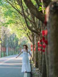 江浙滙遛娃｜住進溧陽周邊超好玩森林民宿！