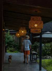 雪山腳下的森林湯池民宿，過20℃夏天