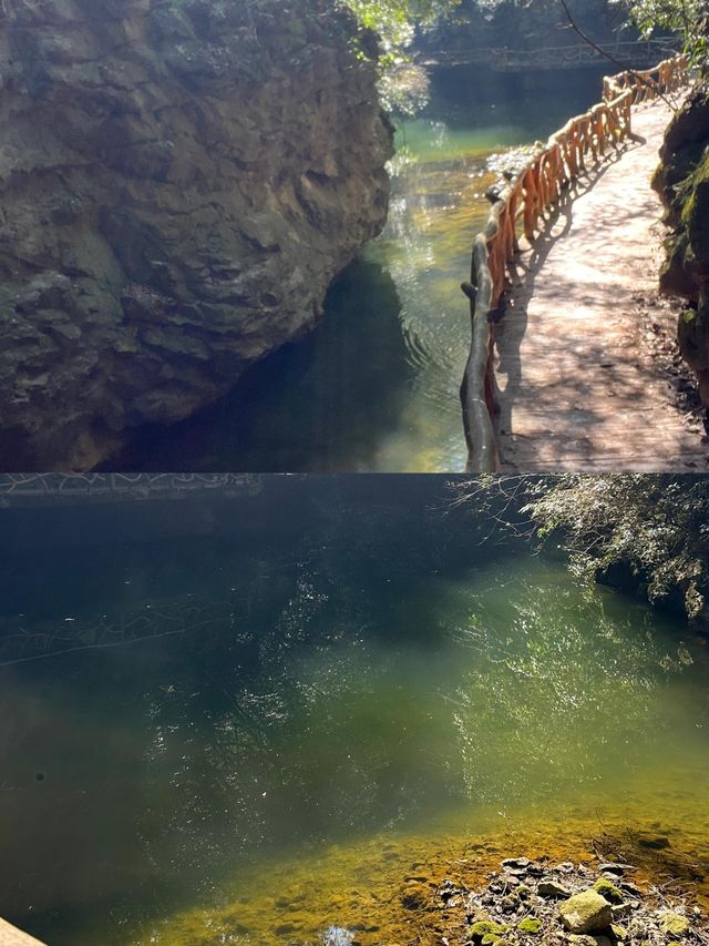 堯治河｜探尋秘境森林，湖北小九寨