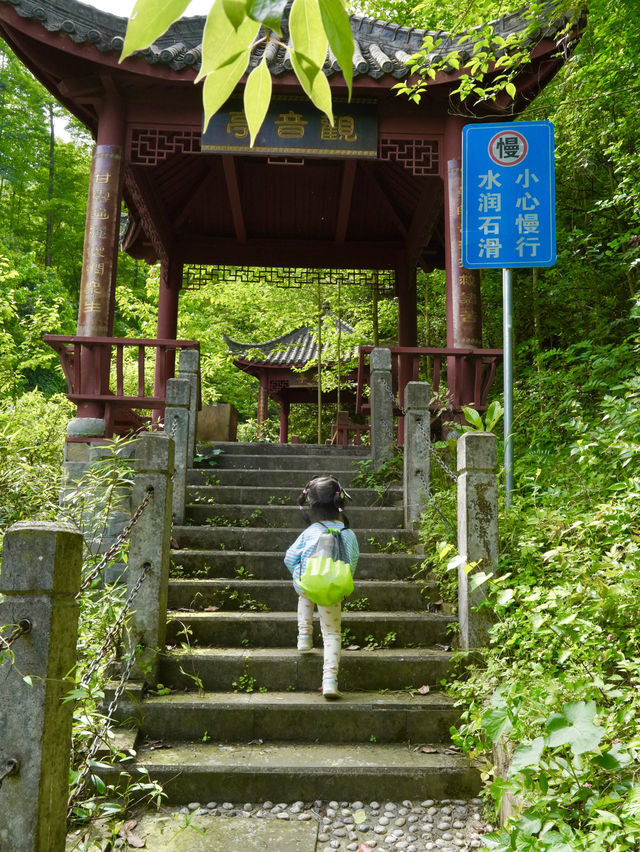 夏日避暑納涼好去處 | 來這個小眾森林秘境親子徒步玩水吧