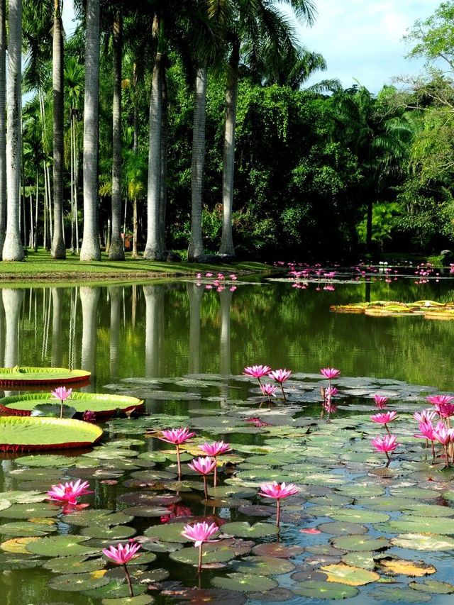 🌺 Xishuangbanna's Botanical Bliss: Stay Amidst Nature 🏞️