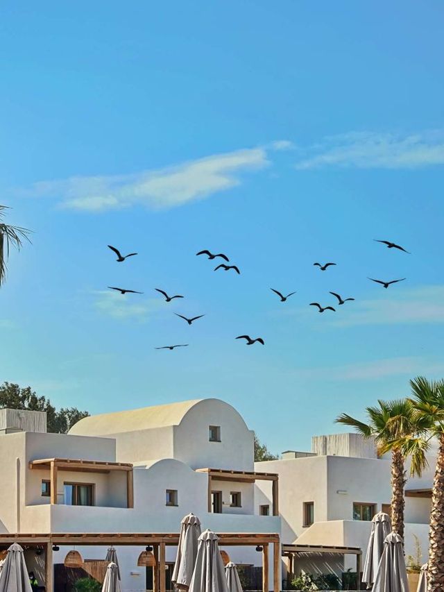 Santorini Sojourn 🌊✨: Luxe Clifftop Retreat!