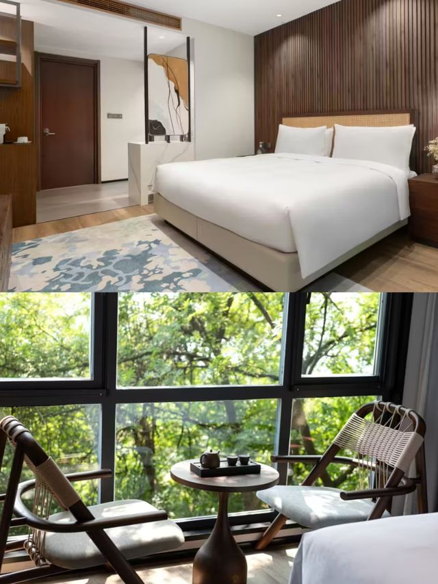 江浙滬寵物友好野奢酒店|宜興攬雲谷