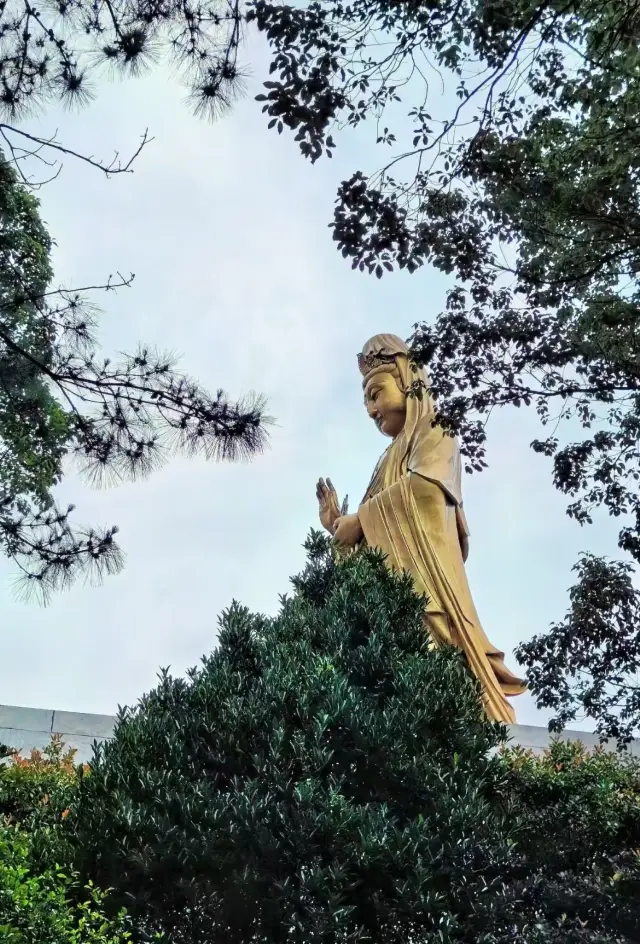 2024 Putuo Mountain Guide (Popular with Pilgrims)