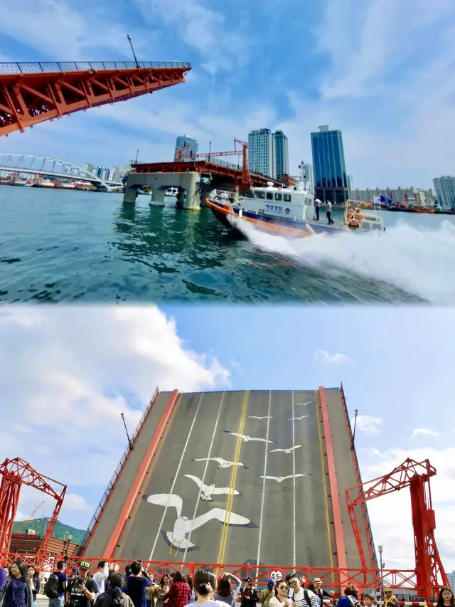 🇰🇷釜山·南浦｜影島大橋看奇景！