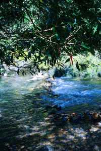 廣州周邊-夏日避暑親水勝地
