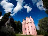 The Gorgeous PINK Castle! 