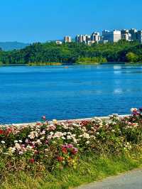 湖濱廣場(興隆湖)
