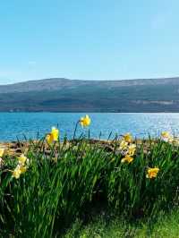 🏴 Inveraray's Gem: Luxe Retreat & Scottish Charm 🏨✨