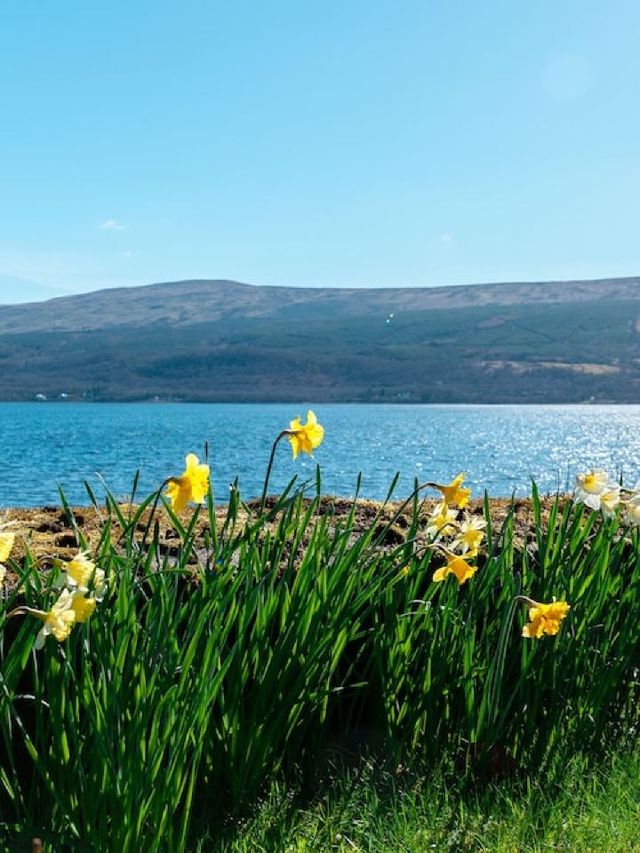 🏴 Inveraray's Gem: Luxe Retreat & Scottish Charm 🏨✨