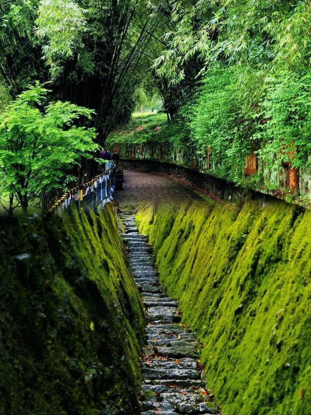 來吸氧吸氧 ！ 福建武夷山遊峰