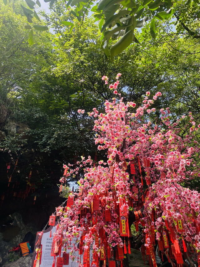 帶娃的避暑聖地