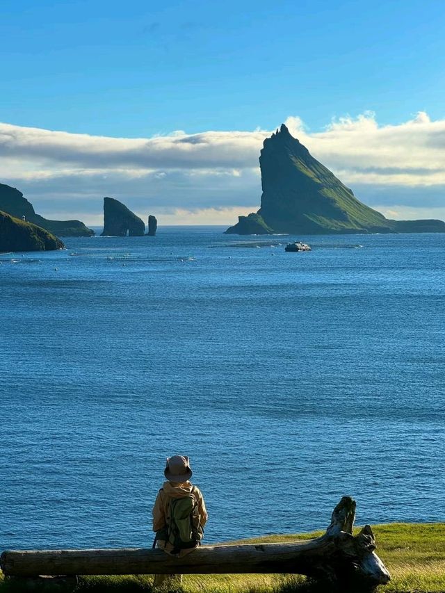 Summer Coolness Chat-Tórsvøllur Forest Island✨ 🤩