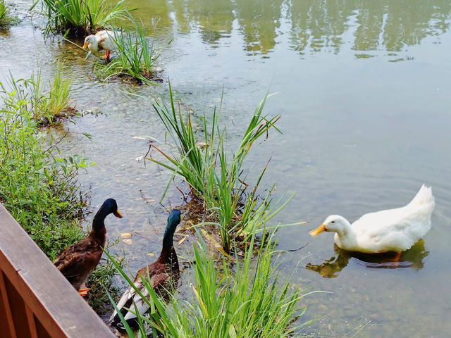 海淀公園