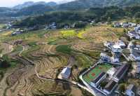 世界灌溉工程遗產鳳堰梯田迎來豐收季。