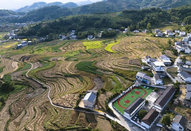 世界灌溉工程遗產鳳堰梯田迎來豐收季。