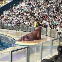 Aquarium in Zhuhai China