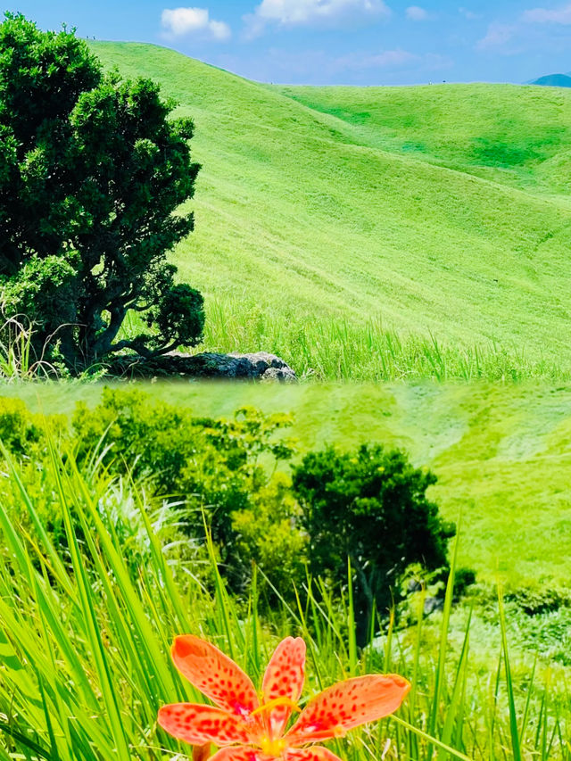 最魅力的 值得去一趟旅遊的大山室 最魅力的 值得去一趟旅遊的大山室