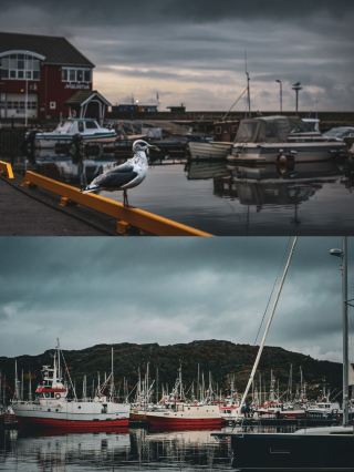 Discover the Nordic miracle - Bodø.