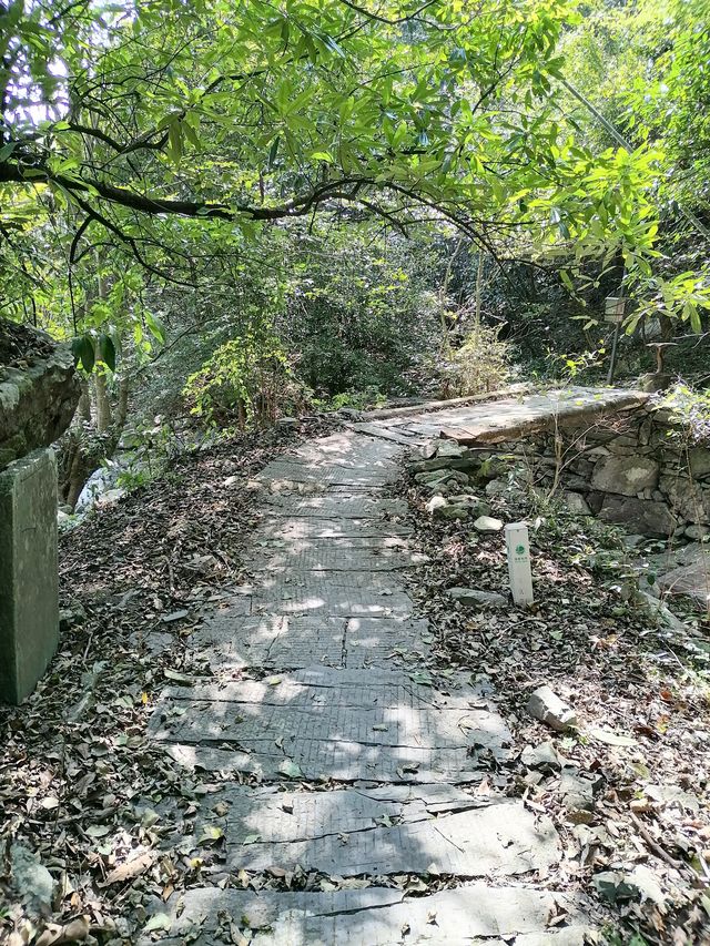 徒步榉根嶺古道丨千年古道丨國慶節避擁遊玩的好地方。