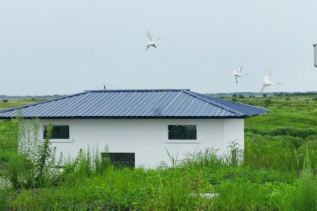 界島有魅力，東極美無限~~黑瞎子島濕地公園。